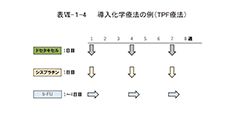 表Ⅶ-１-4　導入科学療法の例(TPF療法)