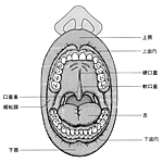 図1