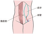 図Ⅴ-3-1