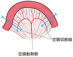 図Ⅴ-3-10