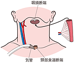 図Ⅴ-3-12