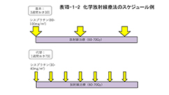 表Ⅶ-１-2　科学放射線療法のスケジュール例