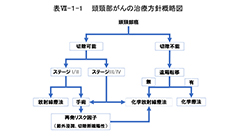 表Ⅶ-１-１　頭頸部がんの治療方針概略図